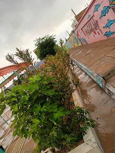 دبیرستان فرزانگان