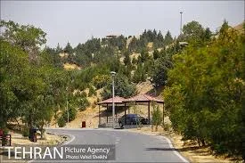 بوستان جنگلی یاس فاطمی | آژانس عکس تهران