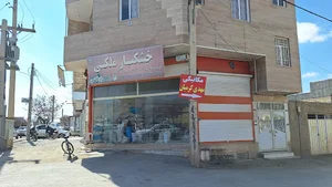 خدمات خودرویی ایران زمین ( مکانیکی مهدی کرمیان)