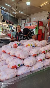 مرغ فروشی برادران حسن زاده