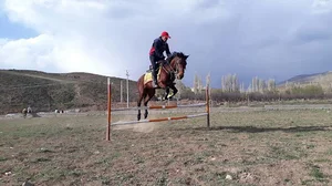 پردیس هورس