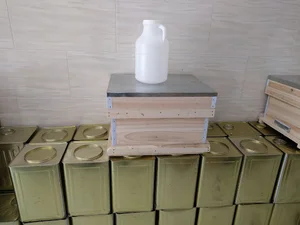 فروشگاه عسل طبیعی و ژل رویال