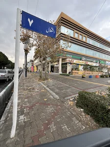 فلامینگو