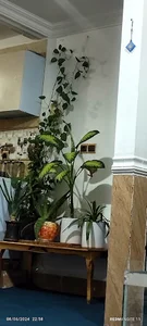 خودروسازان بم