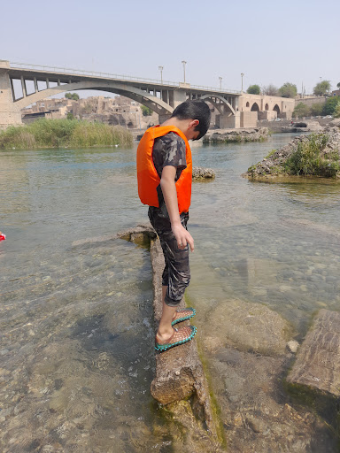 عجم کش