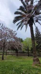 پارک مهر 3
