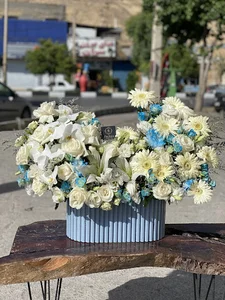 گلفروشی پاچیرا