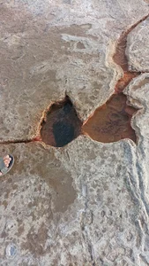 تپه نمکی میر عمر گشت