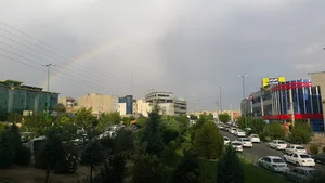 مسکن نجفی