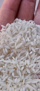 برنج عنبربو خوشه طلایی پایتخت