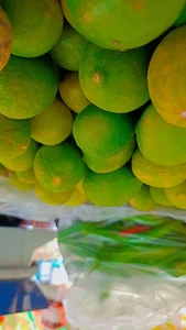 میوه فروشی صداقت 4