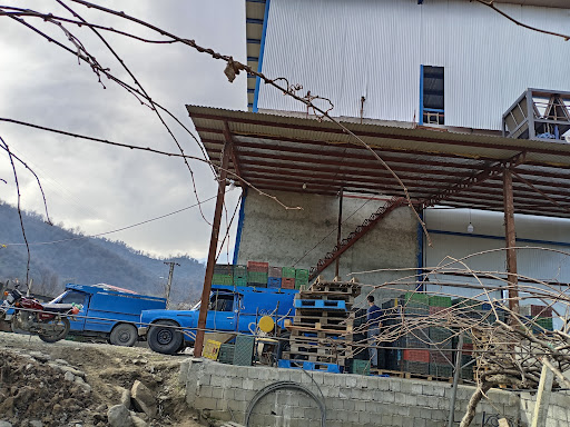 سردخانه و بازرگانی و سورتینگ زمرد حویق