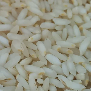 برنج فروشی بوکان 5