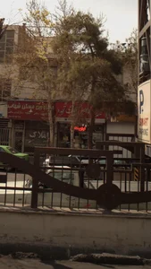 لوازم قنادی تجدد 2
