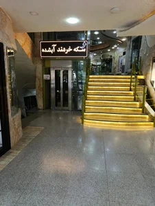 سکه امین خردمند 2
