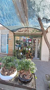 گلسرای یاقوت
