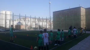 زمین چمن مصنوعی فوتبال 4