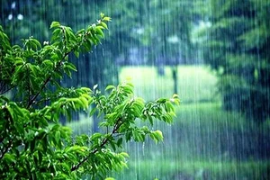 شرکت حکیمان تابش دارو