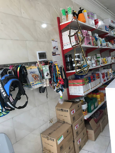 داروخانه دامپزشکی دکترمظلومی