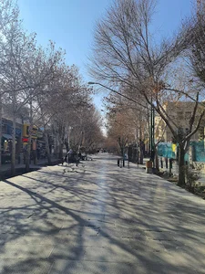 بوستان بهار