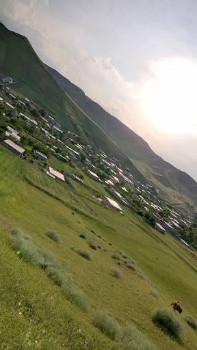 دکتر مهدی یاسینی