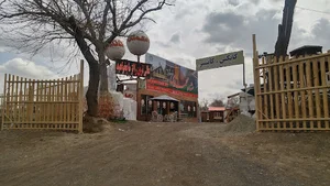گروه صنعتی شاه محمدی