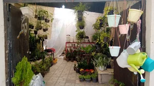 گلفروشی توانگر