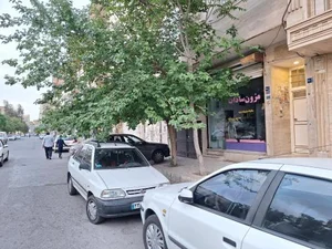 مزون سادات 2