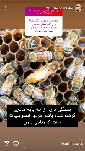 محصولات ارگانیک یاسین