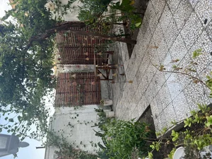 کافه گالری هووی 4