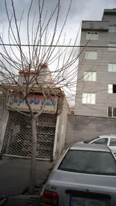 پلاسکو صاحب الزمان 2