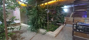 کافه دانشجو