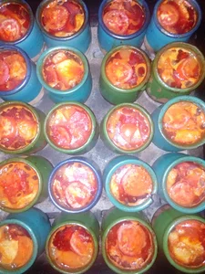 دیزی سرای آذربایجان محسن