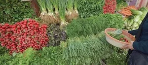 سبزیجات و ترشیجات پردیس