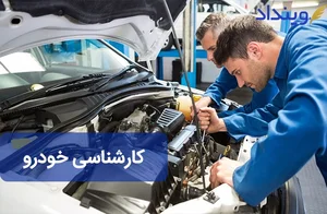 کارشناسی خودرو چیست و چگونه انجام می‌شود؟ + نکات حقوقی | وینداد