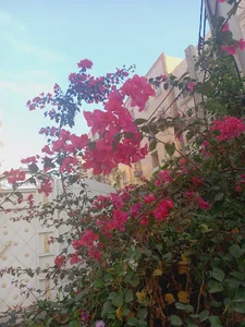 پارک کودک ، شهرک نور