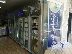 لبنیاتی قصر