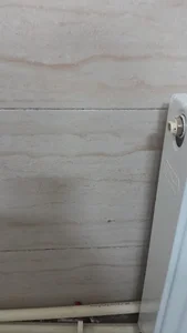 لابراتوار دندانسازی هخامنش Hakhamanesh Dental laboratory