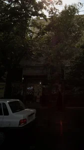 گیاهان دارویی 2