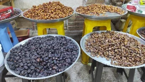 فروشگاه دهقانی در رشت (خرما و خشکبار) 5