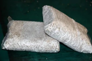 پرورش ماهی ارجمند