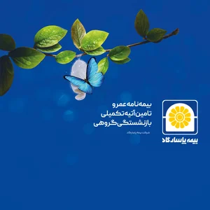 نمایندگی بیمه پاسارگاد تهران کد 2478