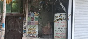 سبزی خرد کنی