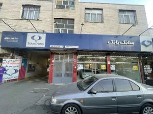 نمایندگی سانگ یانگ 3010 - سبزی