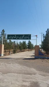 پارک جنگلی