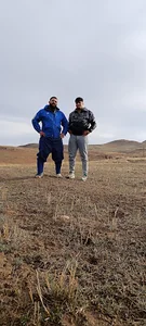 خدمات خودروی شاین