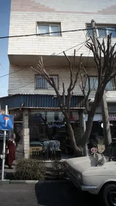 اسپرت اتومبیل آریا 2
