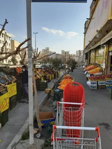 میوه فروشی هاکان 4