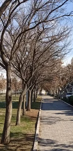بوستان ایثار