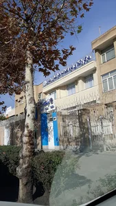 نیکا ویژه بانوان